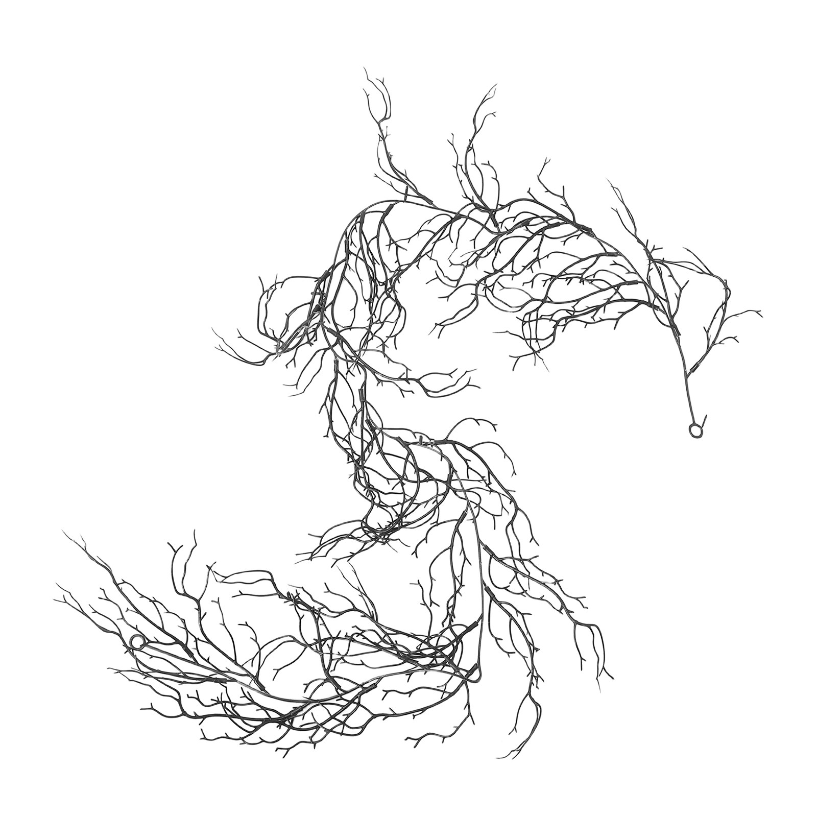 Branch Curly Willow - Branches de saule noires flexibles et
