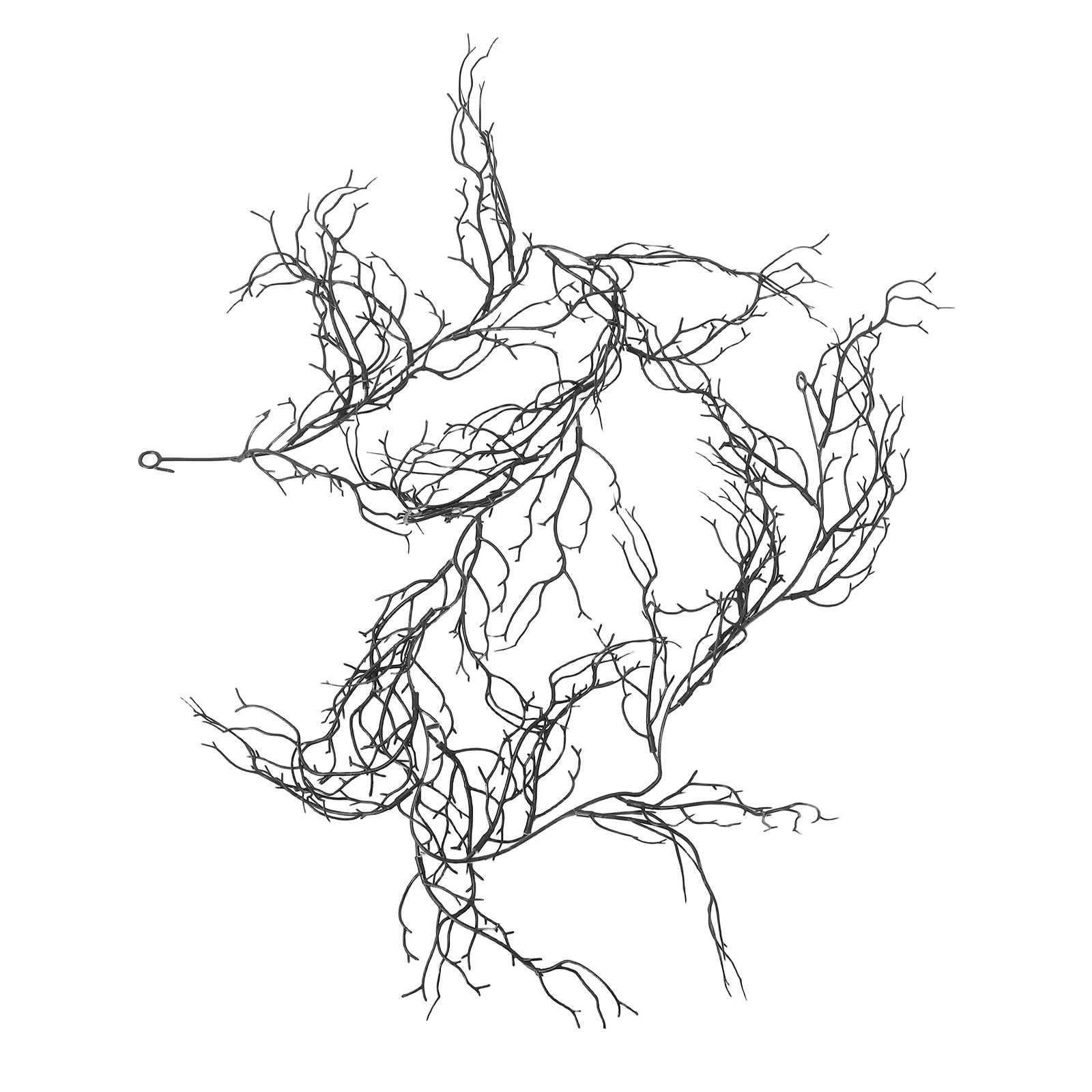 Branches de saule noires flexi - Branch Curly Willow avis et prix