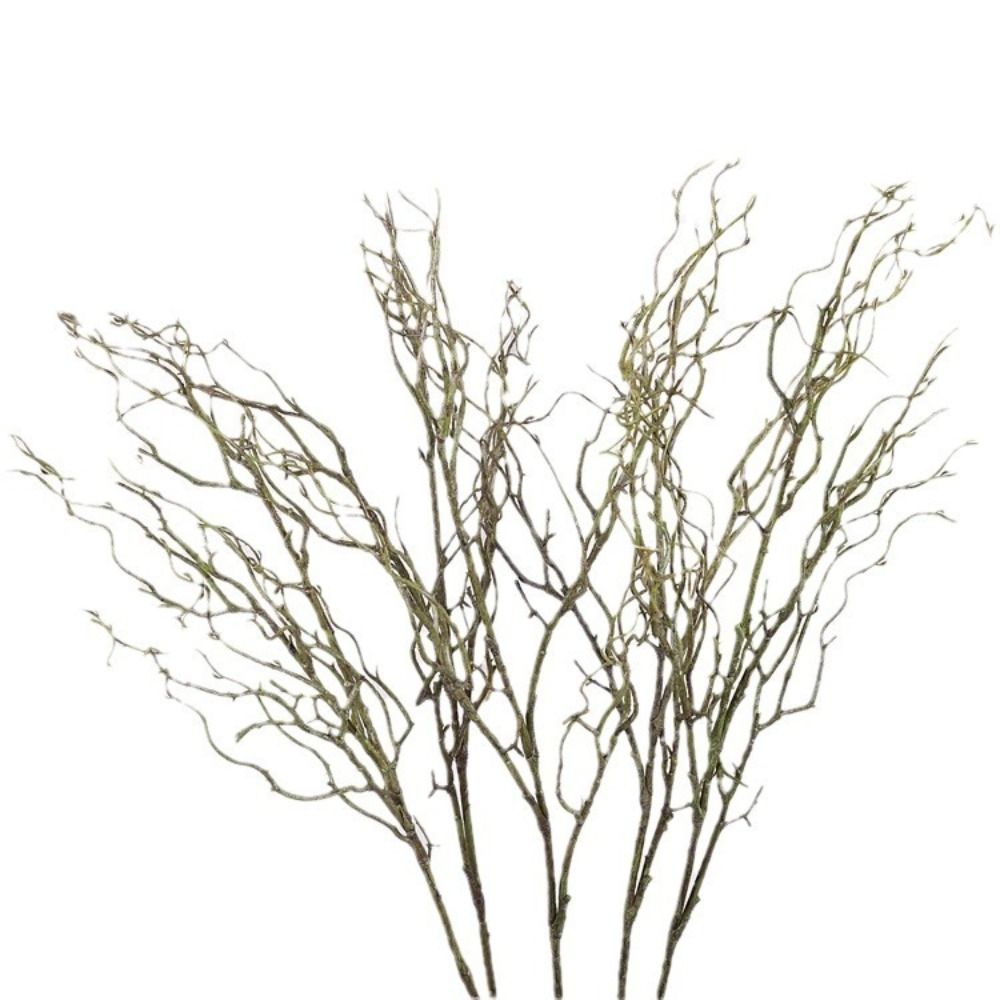 Branche d'herbe de la mer arti - Branch Curly Willow avis et prix