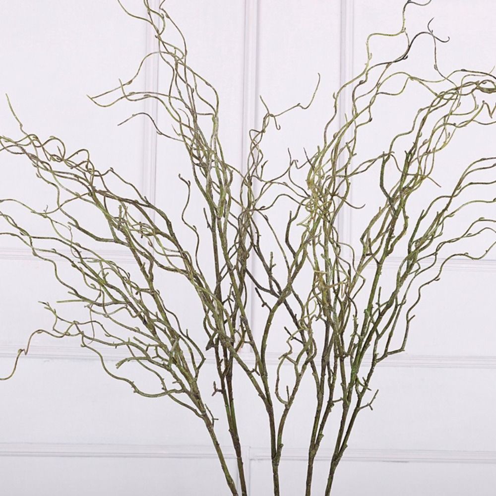 Branche d'herbe de la mer arti - Branch Curly Willow avis et prix