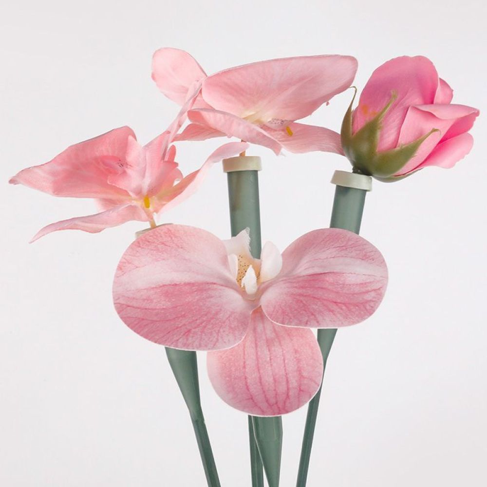 Tubes de conservation florale, - Florist Supply Shop avis et prix